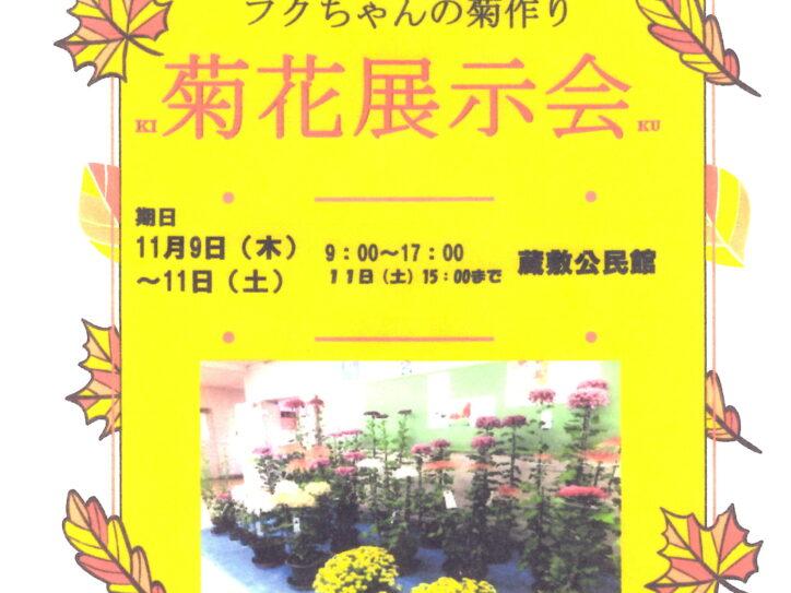 菊花展示会