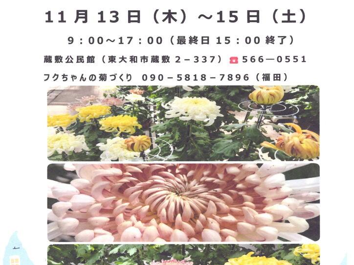 蔵敷菊花展示会