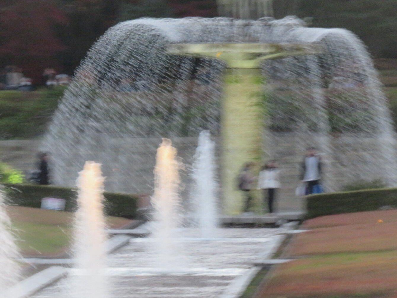 ライトアップ昭和記念公園