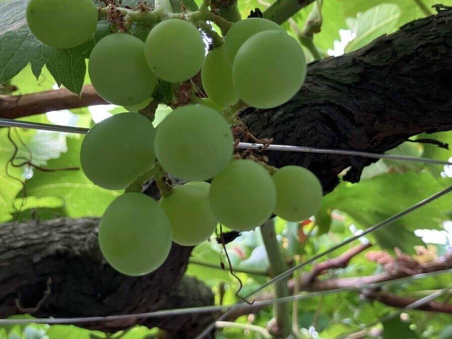 蔵敷だべりサロン