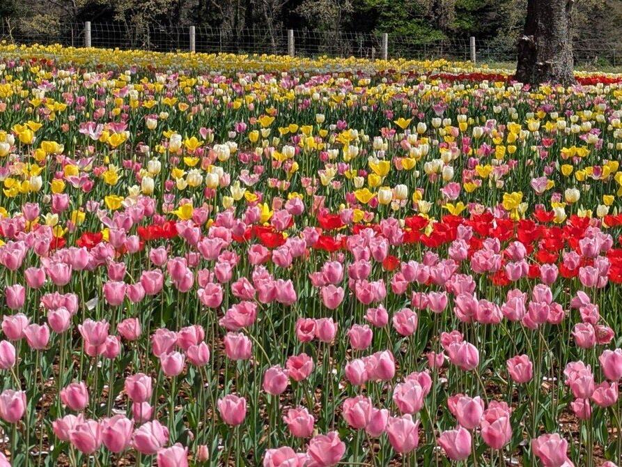 中央・蔵敷だべりサロン