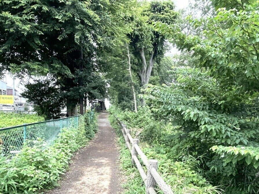 玉川上水緑道の西中島橋から小川橋までを歩いてみた