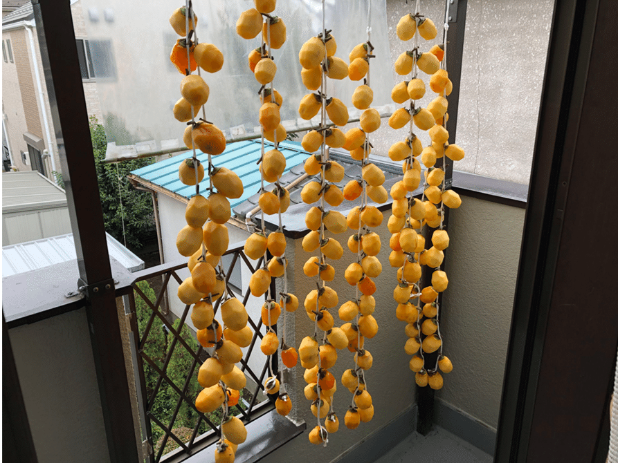 西条柿の吊るし柿作りを楽しむ