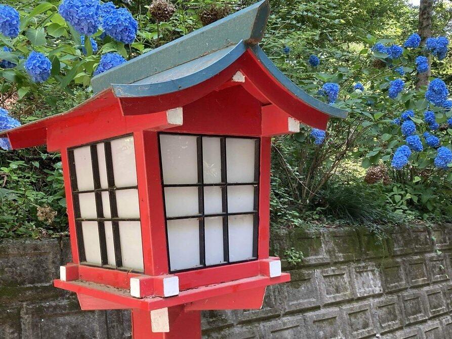 　　　⛰️初夏の高尾山⑩⛰️