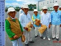 ９０歳を超えてもなお元気にゲートボール選手を続ける