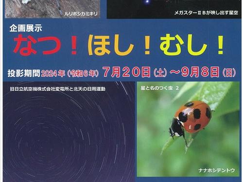 企画展示　なつ・むし・ほし 　7月20日(土)～9月8日(日)