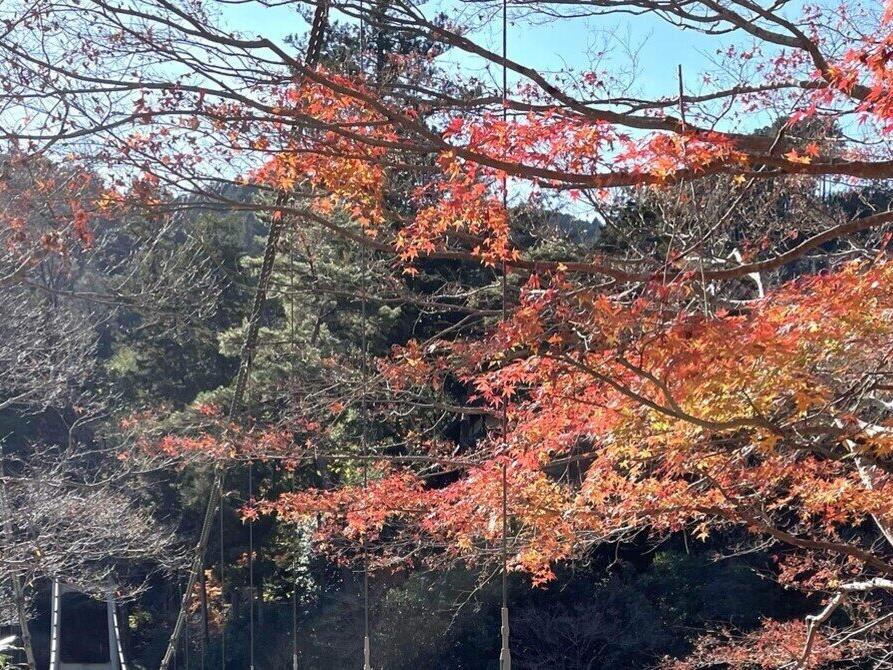 晩秋🍂の奥多摩散策