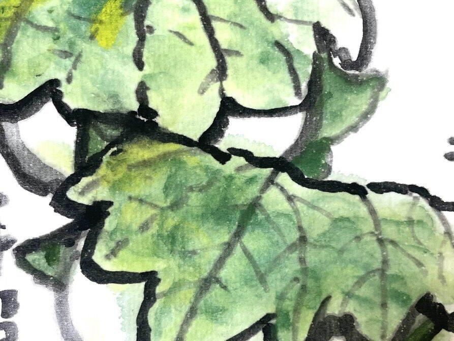 はじめて絵てがみ🎏子どもの日