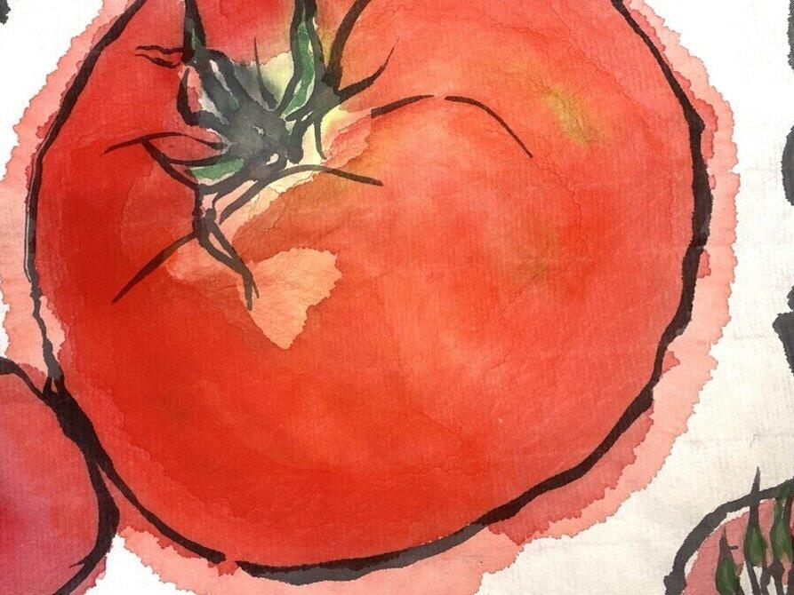 はじめて絵てがみ🍅トマトを描いてみました