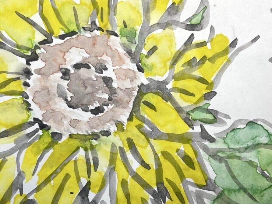 はじめて絵てがみ☀️夏の風物詩