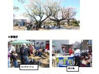 ２０２３年桜祭り（第一光ヶ丘自治会）開催報告