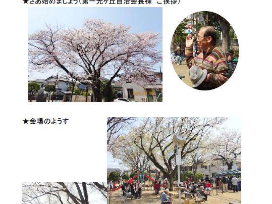 第一光ヶ丘自治会　桜祭り
