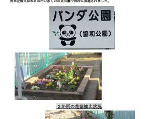 秋の花苗植え実施報告(南街５丁目栄三自治会)