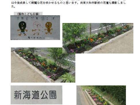 東大和市公園花壇２０２０年度上半期の苗の植え替え