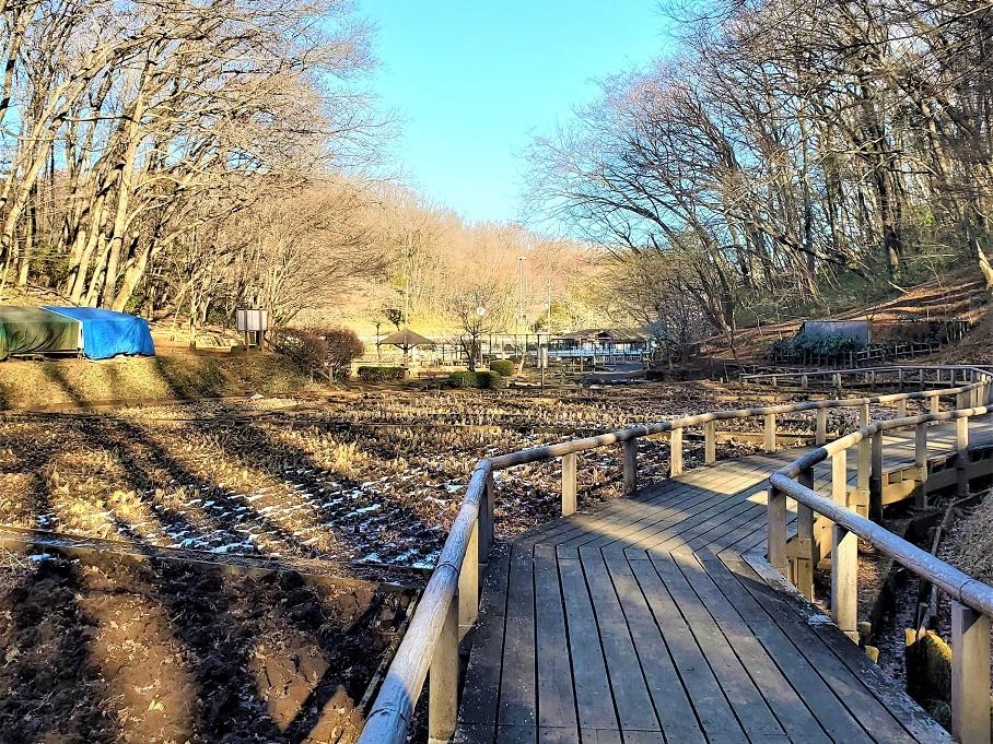 2月の空堀川源流域/野山北公園！