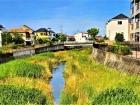 空堀川・東大和の草刈り事前調査！