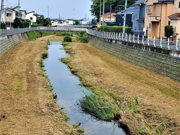 空堀川！草刈り開始！