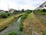 空堀川！草刈り/その２！