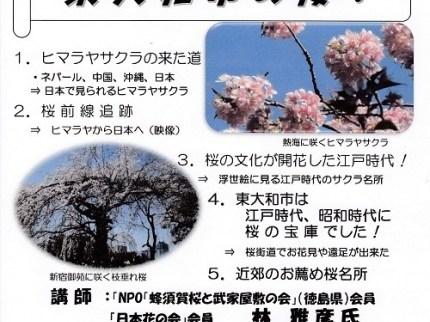 第３８回公開講座「世界の桜！日本の桜！東大和市の桜！」