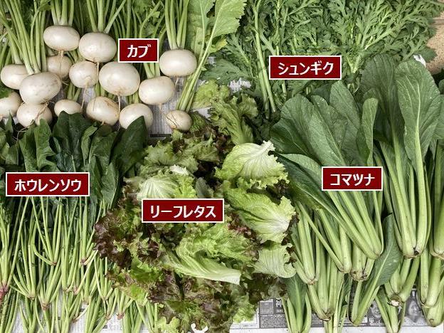 オプション栽培と葉物の収穫